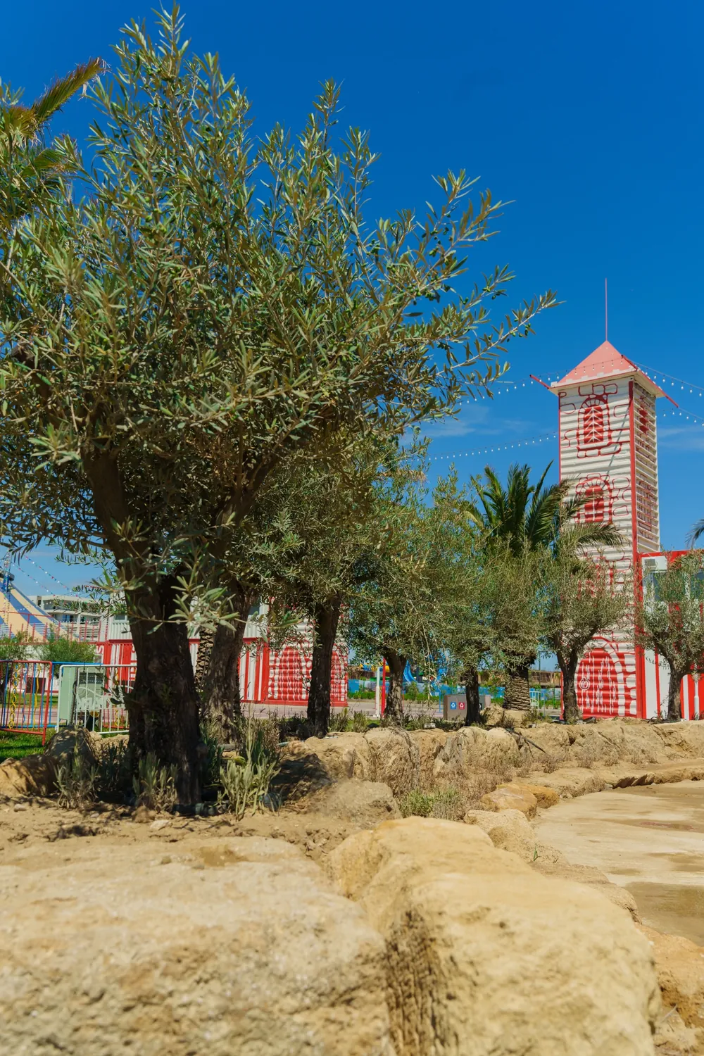 עץ זית ומגדל הכניסה