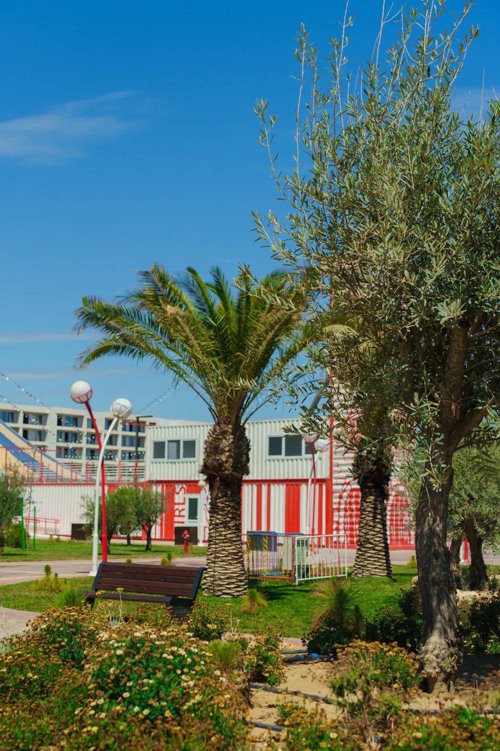 Palma, zeytun və fənərlər